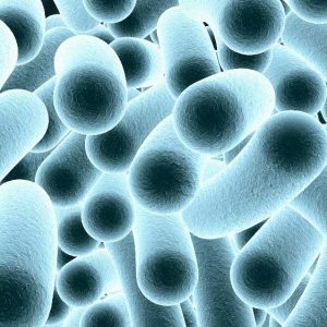 Water Treatment for Legionella